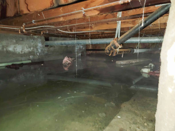 Best Water damage cleanup near me  in Lacy Lakeview, TX