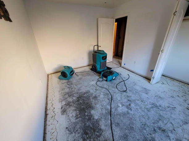 Water damage restoration insurance claims in Lacy Lakeview, TX