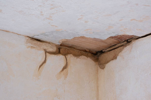 Best Flooded house restoration  in Lacy Lakeview, TX