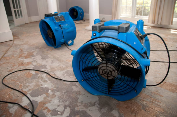 Best Carpet water damage restoration  in Lacy Lakeview, TX