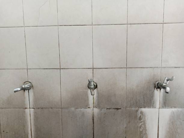 Best 24-hour water damage restoration  in Lacy Lakeview, TX