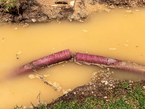 Best Local water damage restoration  in Lacy Lakeview, TX
